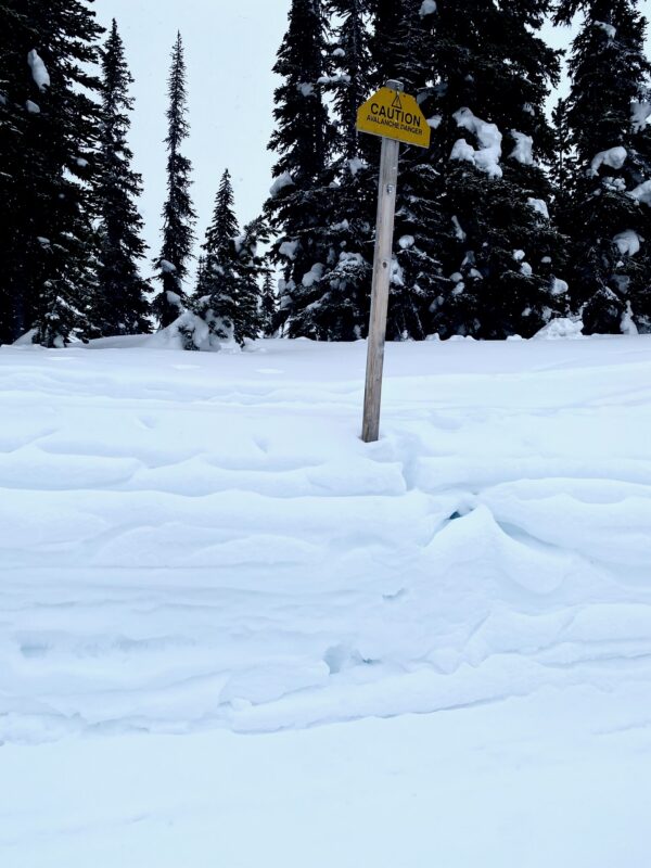 Kicking Horse, Canada. Image © PlanetSKI